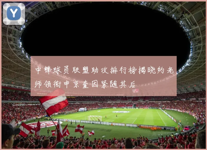 中锋球员联盟助攻排行榜揭晓约老师领衔申京奎因紧随其后