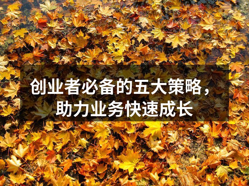 创业者必备的五大策略，助力业务快速成长